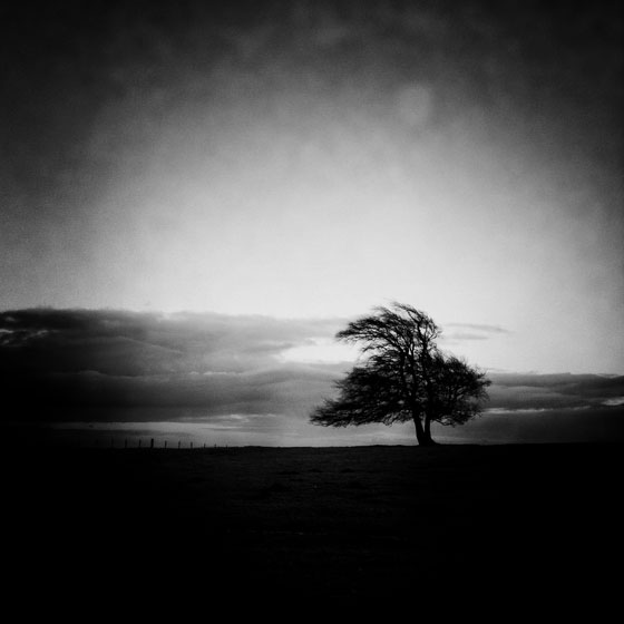 iPhone Photo Vignette 55
