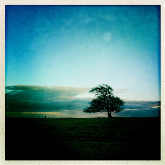 Hipstamatic App: How To Shoot Unique iPhone Photos