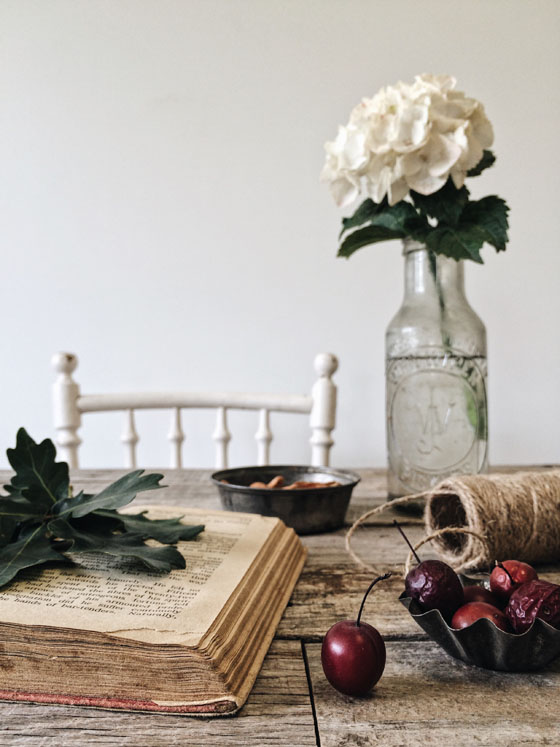 8 Still Life iPhone Photographers To Follow On Instagram