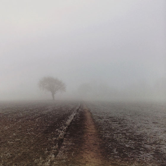Fog & Mist iPhone Photos 21