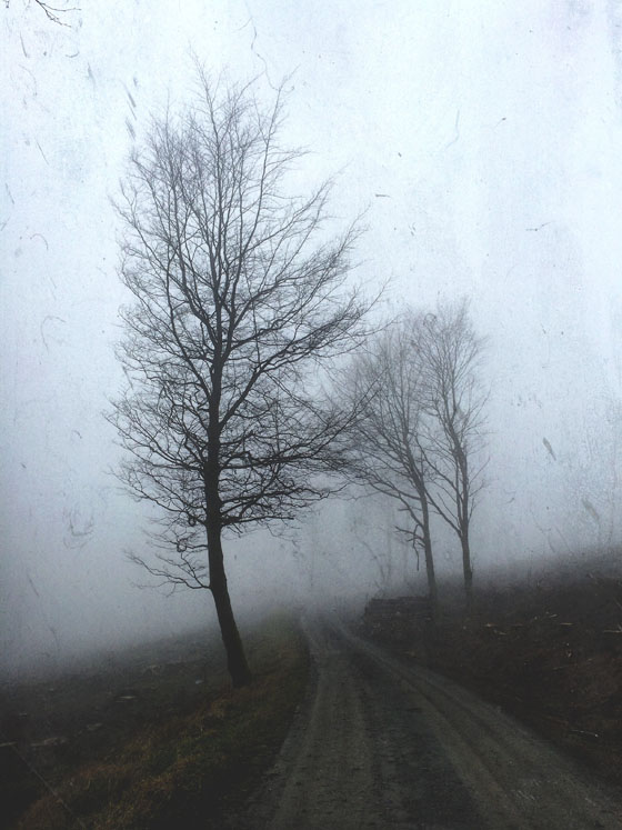 Fog & Mist iPhone Photos 31