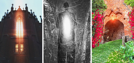 iPhone Art Academy: Create Stunning Works Of Art With Just Your iPhone