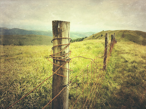 Landscape photography 19