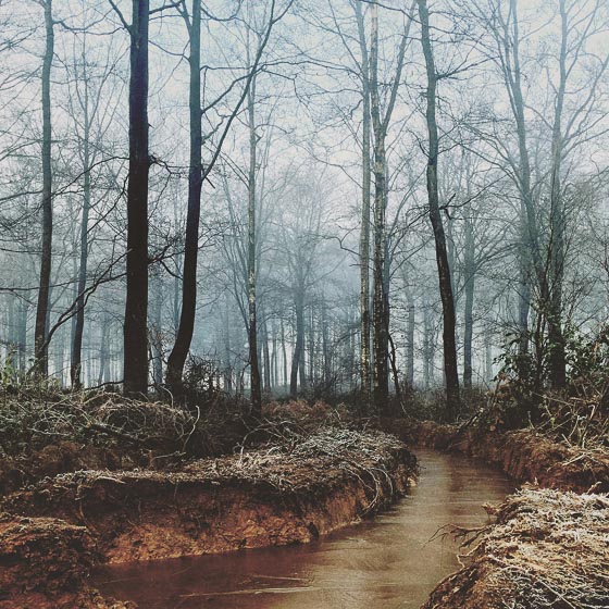 Landscape photography 20