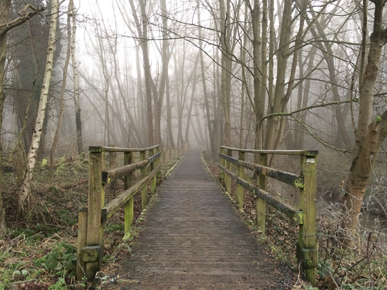 Landscape photography 21