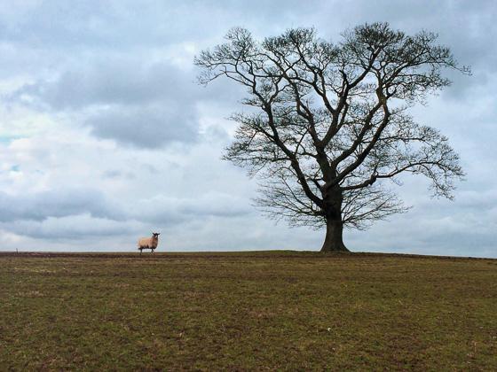 Landscape photography 36