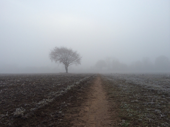 Landscape photography 37