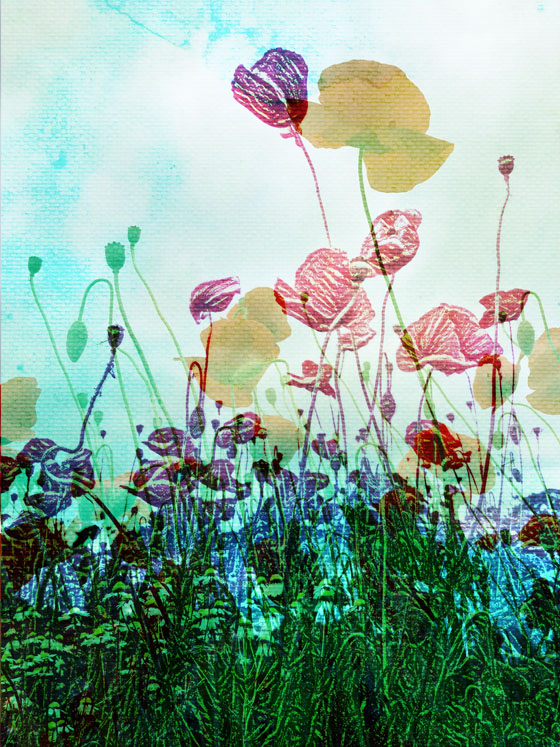 Apps that turn photos into drawings 14