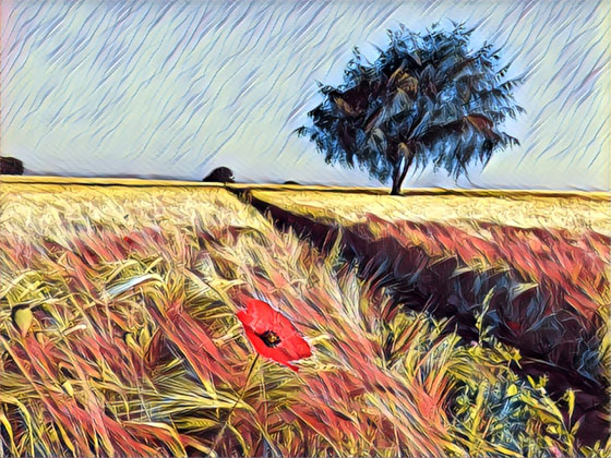 Apps that turn photos into drawings 20