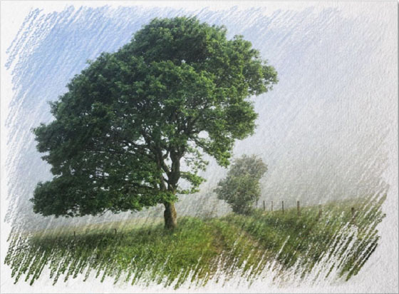 Apps that turn photos into drawings 46