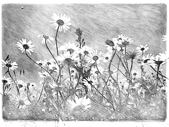 Apps that turn photos into drawings 50