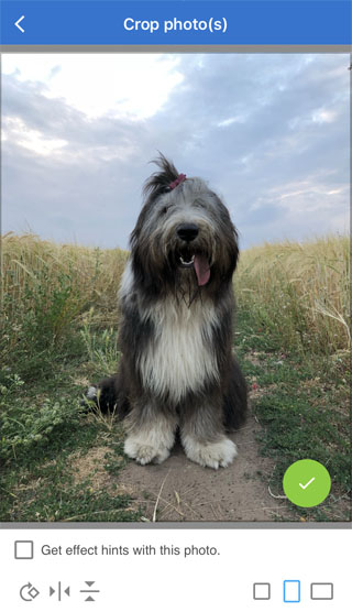 Apps that turn photos into drawings 55