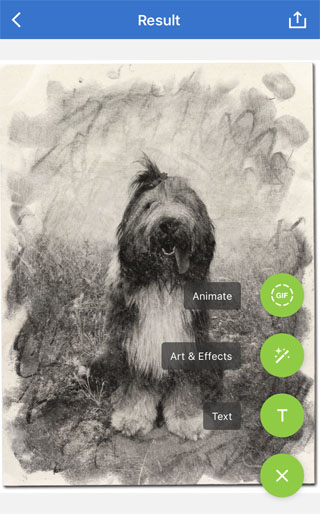 Apps that turn photos into drawings 56