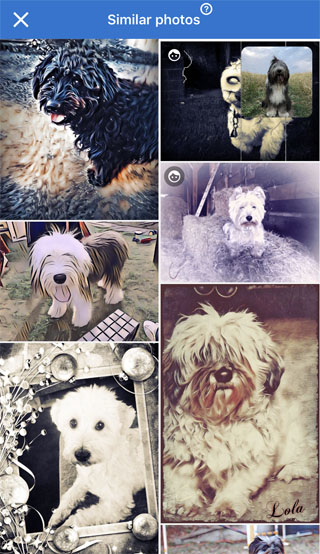 Apps that turn photos into drawings 57