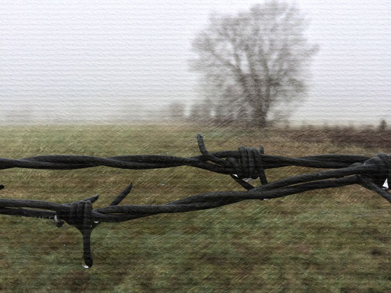 Apps That Turn Photos Into Drawings