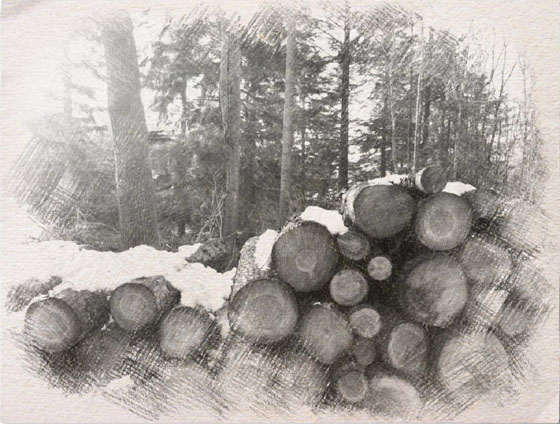 Apps That Turn Photos Into Drawings