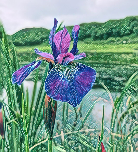 Apps That Turn Photos Into Drawings